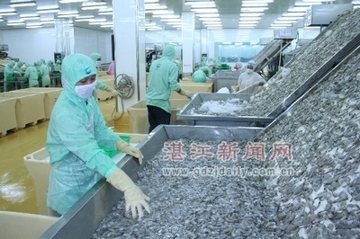 前11個月湛江水產品出口逾10萬噸 5億美元-加工貿易- 中國水產門戶網 - 最具影響力的水產網站