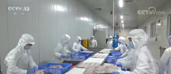 多部門出臺措施打通堵點 禽肉水產品運得出供得上