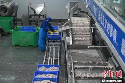 "中國水產預制菜之都"加速讓新鮮水產"游"向海外