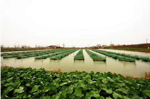 水產養殖加工