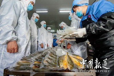 饒平海關助力水產品暢銷“一帶一路”