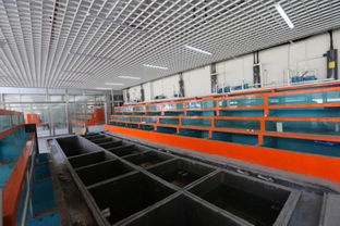 上海自貿區旁要新開水產市場 進口水產品將成亮點
