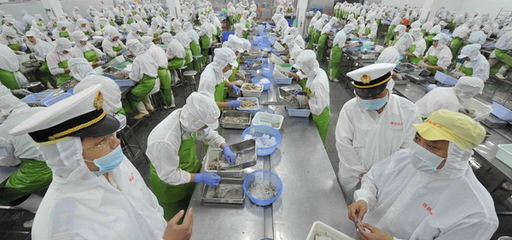 前十一個月廣東汕頭水產品出口貨值比去年下降了兩成