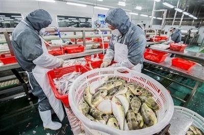 中洋水產品,疫情之下的“定心丸”