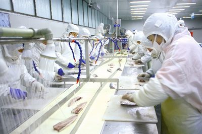 中國人壽財險為產業發展筑牢"保障網" 威海開啟"海洋預制菜+保險"模式