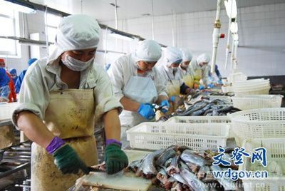 山東文登興海水產品年加工量達4000多噸 - 加工出口 - 中國水產頻道 | 網聚全球水產華人