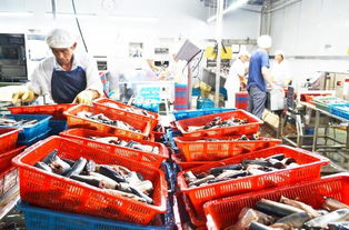 寧波佳必可食品 深耕水產品加工市場