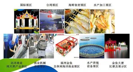 漁博會就要來了!種類豐富的海產品、再戰記錄的“魚丸王”…
