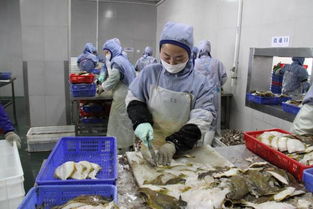 琿春水產加工業發展迅猛 打造國際水產基地