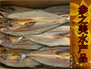 水產品鲅魚/淡干鲅魚/海產品/粗加工水產品