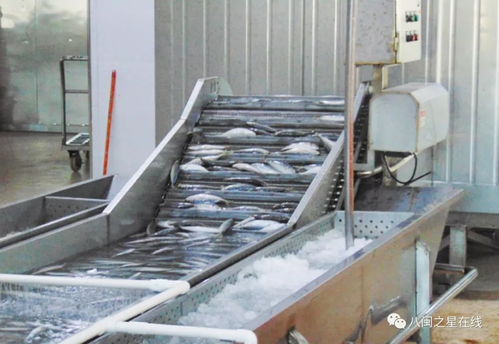 誠信為先 品質為本 樂興水產 助推東山縣水產行業騰飛