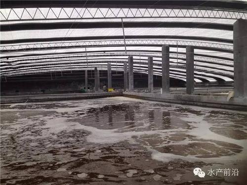 連云港水產加工商行_談山東掀起的養蝦熱