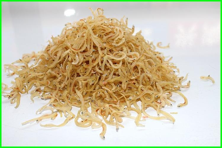 整箱銀魚仔廠家粗加工水產(chǎn)品小銀魚榮成海產(chǎn)干貨銀魚干