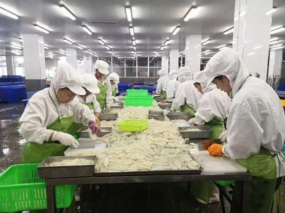 蒜香牛蛙、紫菜蝦滑…國家級粵菜師傅助力冠海水產(chǎn)預制菜研發(fā),讓"潮"味飄香全球