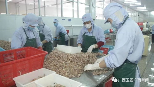 廣西 強化金融支持 促進外貿(mào)外資平穩(wěn)發(fā)展
