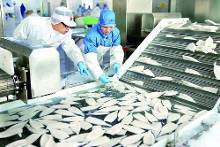 舟山精深加工水產(chǎn)品俏銷海外(圖)-新聞?lì)l道-手機(jī)搜狐