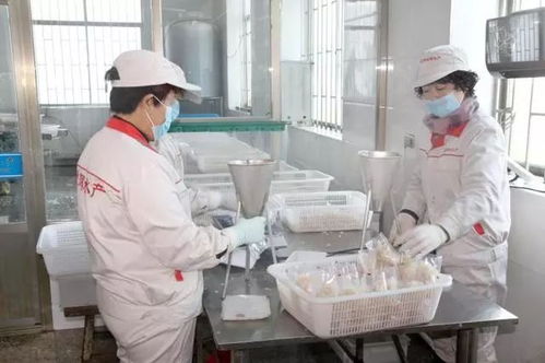 遼寧禮物丨我們向您推薦 營(yíng)口市農(nóng)業(yè)博覽會(huì) 優(yōu)質(zhì)產(chǎn)品 獎(jiǎng),蓋州市德輝水產(chǎn)品加工廠生產(chǎn)的 瀅輝 牌海蜇