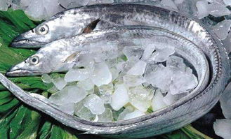 北京正宗速凍海產品銷售電話