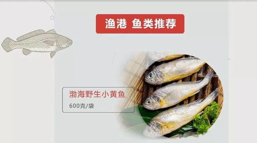 從石島到全國,京東 生鮮快車 再出發(fā)