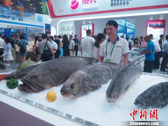 2018中國水博會(huì)在廣東湛江舉行 逾3000家國內(nèi)外客商參會(huì)