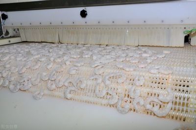 一個新建的水產品加工廠,是如何策劃污水處理設施?達標才是目的