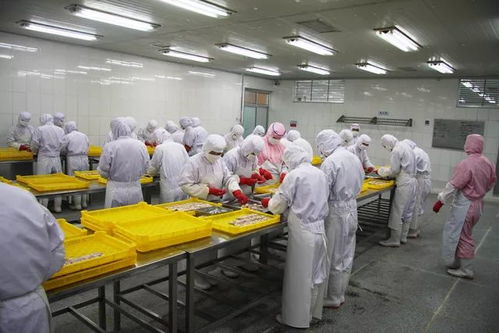 點(diǎn)贊 石島兩個(gè)企業(yè)品牌閃耀全國(guó)