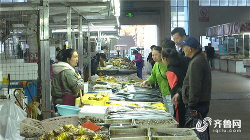休漁期島城水產(chǎn)品供應(yīng)不斷檔 市民餐桌不受影響