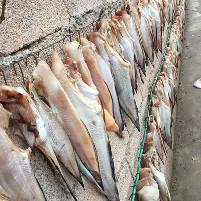 【威海特產(chǎn)老冷干先生魚獅子魚干貨批發(fā)其他粗加工水產(chǎn)品