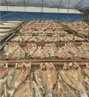 水產(chǎn)品-干制水產(chǎn)品-水產(chǎn)干制品-蝦米