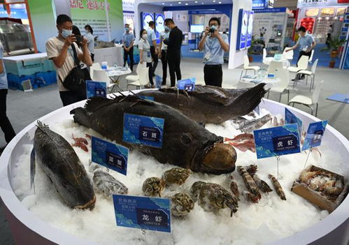 2021中國 福州 國際漁業博覽會將于6月3日在海峽國際會展中心舉辦