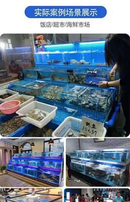 水產加工有年賺千萬的嗎?揭秘水產加工行業的創業機遇與財富密碼