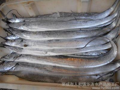 榮成市人和鎮(zhèn)華濤水產(chǎn)品加工廠
