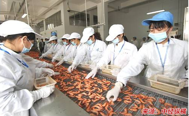 干制水產(chǎn)生產(chǎn)工藝及行業(yè)發(fā)展現(xiàn)狀的可行性研究(立項報告)