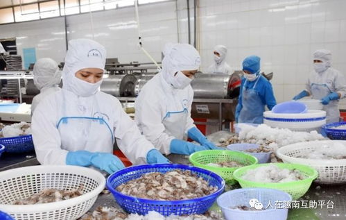 促進越南農(nóng)產(chǎn)品對中國市場的正貿出口