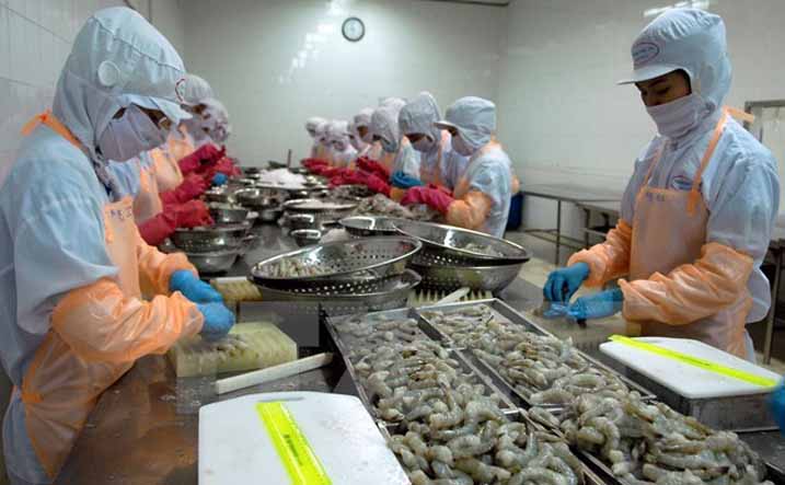 越南水產(chǎn)加工企業(yè)應(yīng)注重開拓國內(nèi)市場