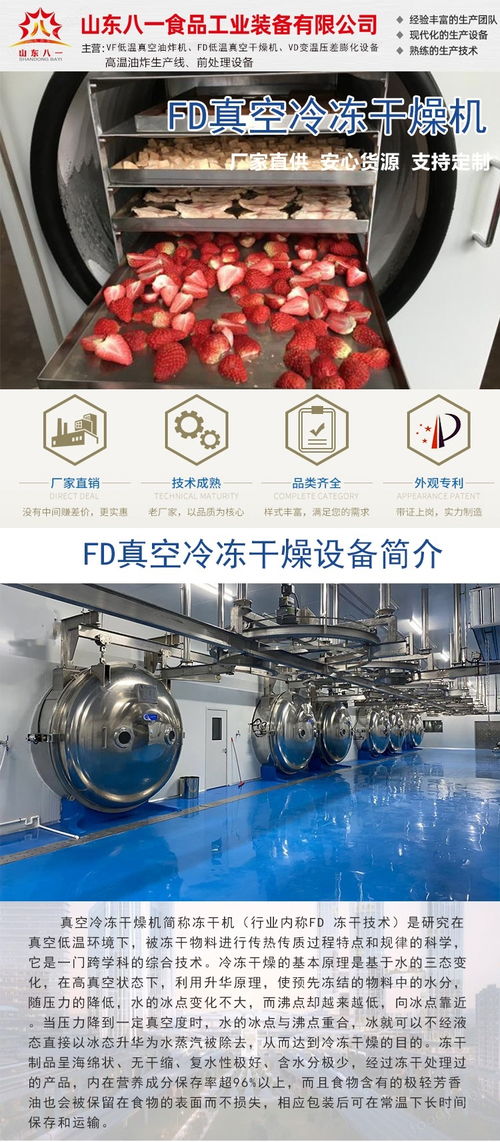 大型沙棘凍干機(jī)