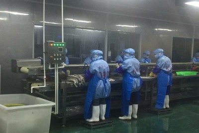 珠海首個“科技小院”落戶珠海斗門生態農業園 高校企業“聯袂”助力農民增收