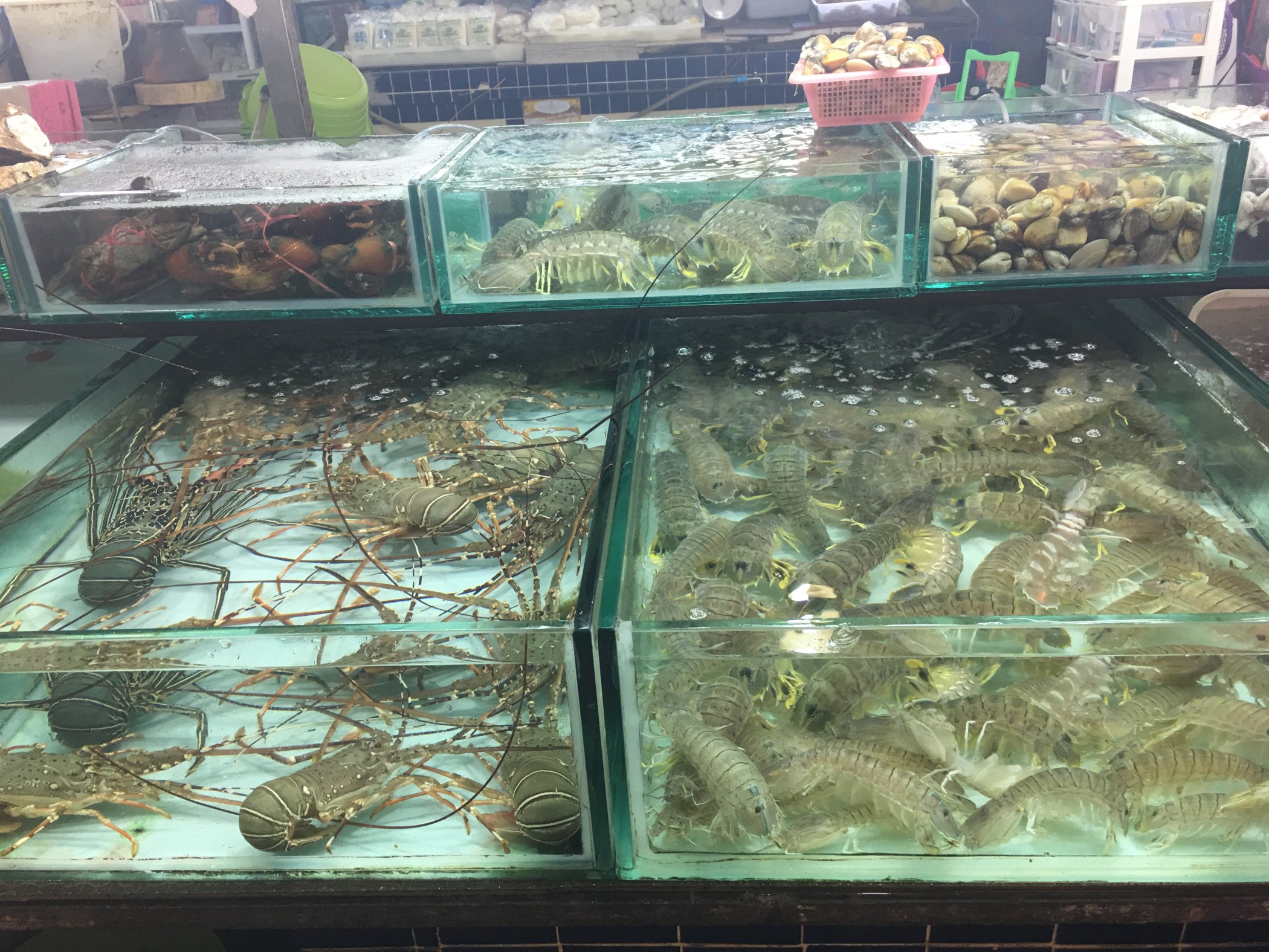 大蝦鮮活速凍水產(chǎn)海鮮冷凍基圍南美超大海蝦對蝦厄瓜多爾白蝦.