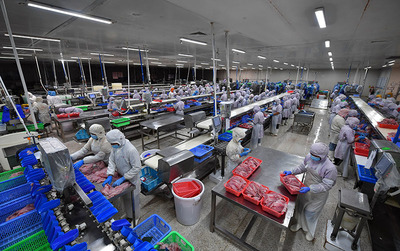 海南水產出口企業陸續復工復產