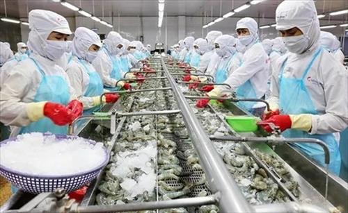 全球水產品銷售需求穩定是越南水產加工與出口企業的增長動力。水產領域獲視為正在面對