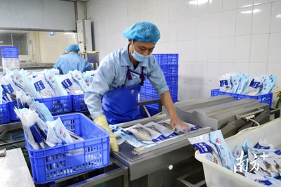 海天集團落子南海西樵,斥資50億元布局大健康產業