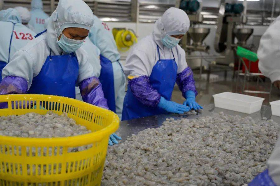 蝦滑,魚丸,蟹柳…帶你探秘北海水產加工一線!_疫情_防控_生產