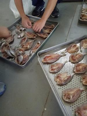 水產類魚干烘干機