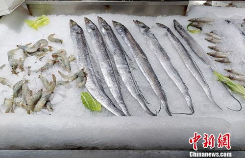 山東建設區(qū)域冷鏈物流中心 為 海上糧倉 保駕護航