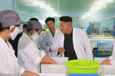 高清:金正恩穿“白大褂”視察水產品加工廠