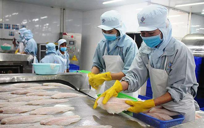 5月水產品進口量"三連漲",巴沙魚進口量為19年以來單月.
