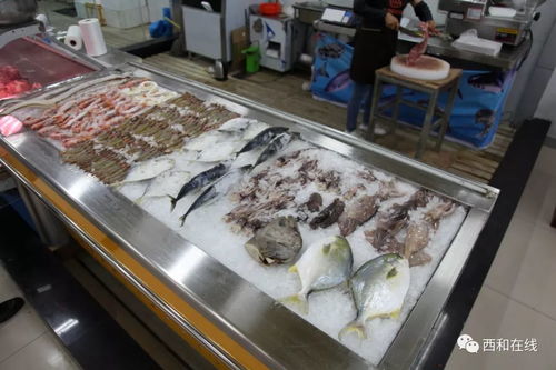 搶 鮮 啦 西和鴻泰30多萬打造的玻璃房海鮮區,可以吃到鮮活的海鮮了
