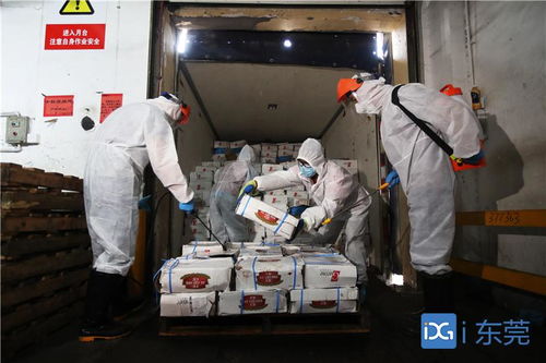 東莞 進口凍肉和水產品每批必檢