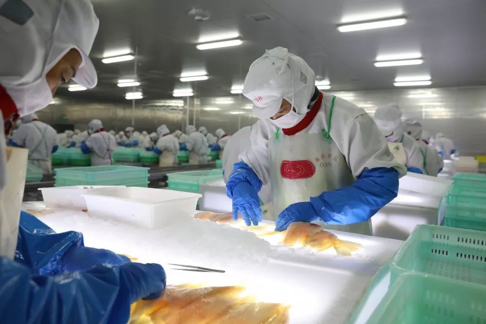 改模式 減負擔 大連海關為轄區水產加工行業健康發展 注入“強心劑”
