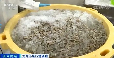 在網上賣爆了,很多人愛吃!對蝦銷售迎來最旺季 ,水產加工企業提前備貨